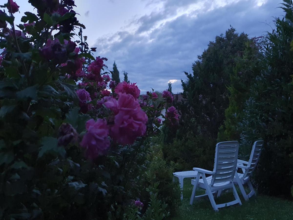 Villa Maja Markdorf Exteriér fotografie